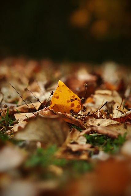 索默：德比战与迈尼昂PK感觉很棒，成为顶级球队要赢强队